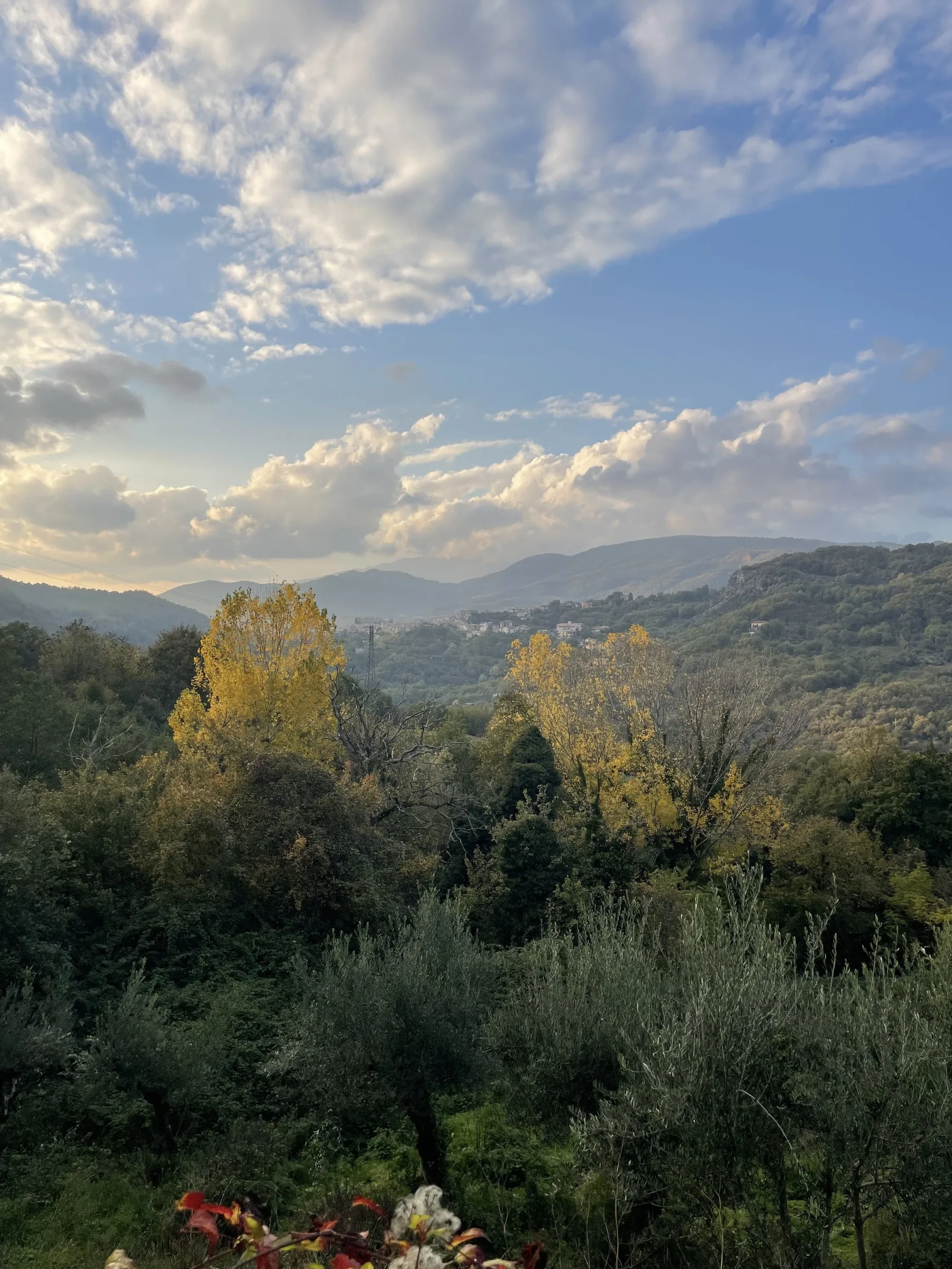 Ausblick von der Casa Cafaro über die Hügel der Basilicata